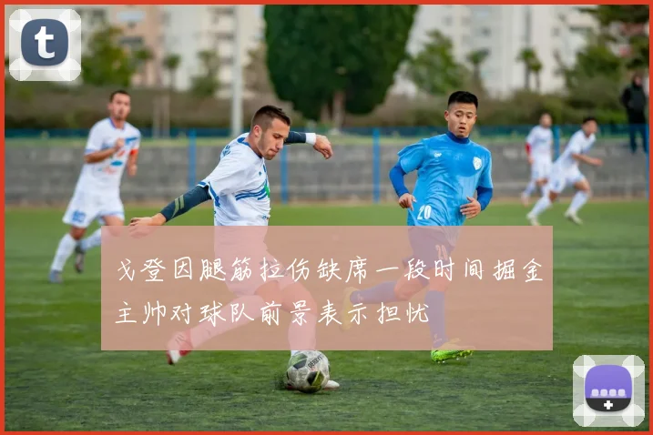 戈登因腿筋拉伤缺席一段时间掘金主帅对球队前景表示担忧