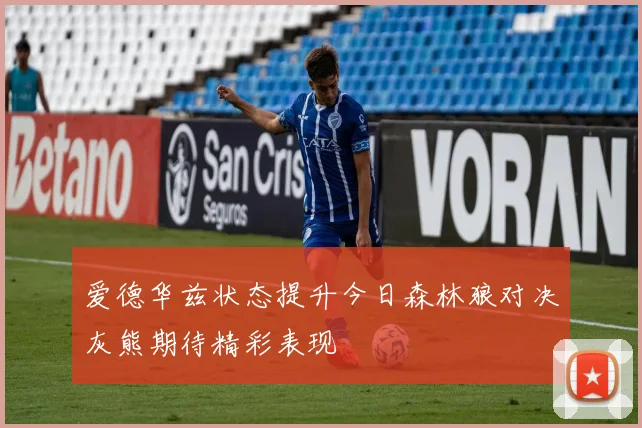爱德华兹状态提升今日森林狼对决灰熊期待精彩表现
