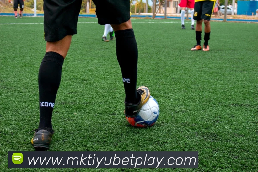 MK体育APP 封面图